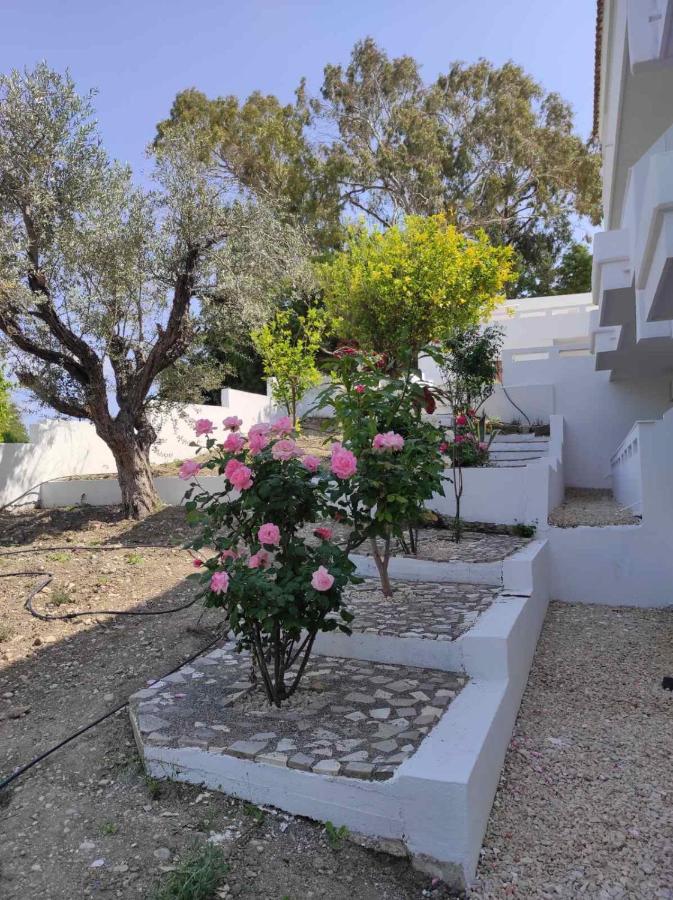 Arocaria - Peaceful Apartment Faliraki