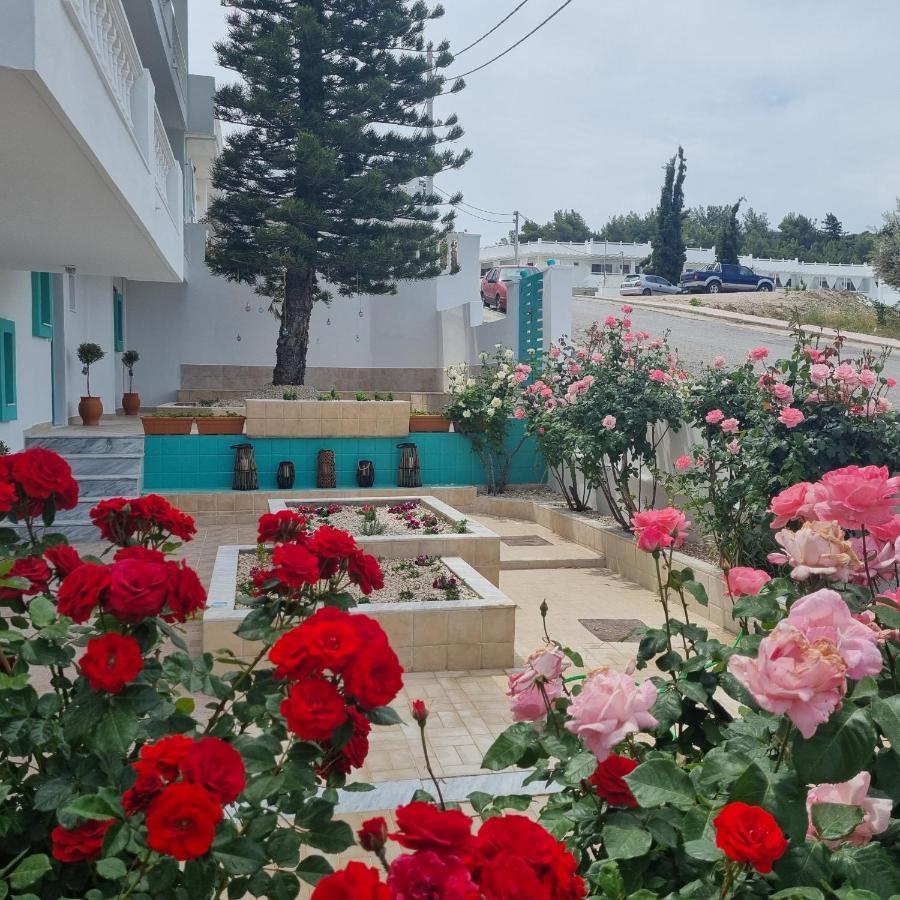Apartment Arocaria - Peaceful